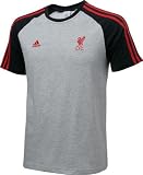 English Premiership Men's Chelsea Core Tee (Medium Grey Heather, Small)