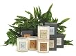 Archipelago Botanicals Home Collection Candles - 14 oz