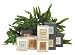 Archipelago Botanicals Home Collection Candles - 14 oz