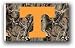 BSI Tennessee Volunteers Realtree Camo 3x5 Single Sided Flag