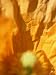 Meconopsis Cambrica (Welsh Poppy), Close-up of Orange Flower Photographic Poster Prin...