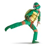 TMNT Ninja Turtle Raphael Child Costume