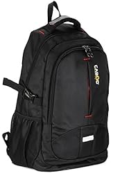 Cabod (TM) Reflective Laptop Backpack travel bag