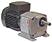 DAYTON 4RYV2 AC Gearmotor, 49 rpm, TEFC, 208-230/460V