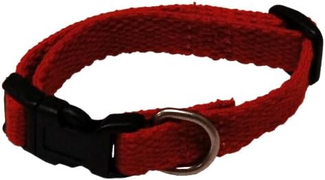 Petz Best Dog Small 1/2-Inch Saffron Organic Cotton Collar, 6-Inch to 9-Inch