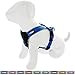 Pawtitas Reflective Dog Harness Padded Dog Harness Provides Comfort Control for a Walk or Running Great Pet Accessories Dog Vest S Small Bue Dog Harness