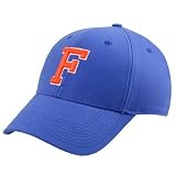 Nike Florida Gators Royal Blue Swoosh Flex Fit Hat