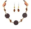 Necklace - Asst Semi Precious Gemstones + Matching Earrings (FB186)
