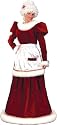 Costumes For All Occasions FW7571ML Santa Mrs Velvet Dress Medium Large