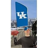 Kentucky Wildcats NCAA Post Flag
