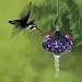 BirdBrain Precious Glass Hummingbird Feeder - Purple