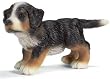 Schleich Bernese Mountain Dog Pup16344