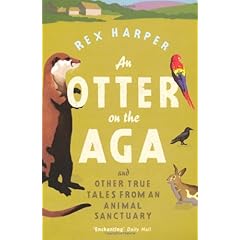 An Otter on the Aga
