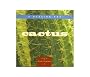 A Passion for Cactus