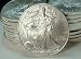 1995 American Eagle Silver Dollar
