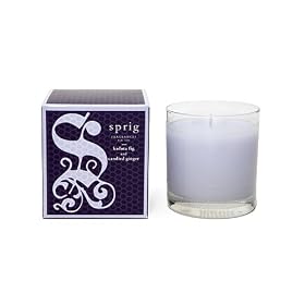 SPRiG Fragrances Classic Candle - Kadota Fig and Candied Ginger