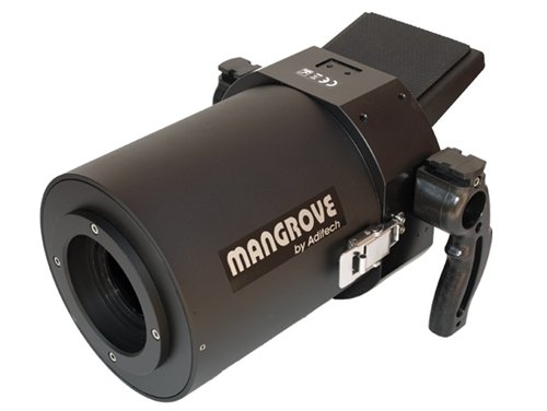 black friday price Mangrove