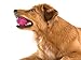 West Paw Zogoflex Air Boz Dog Toy – Floatable Pet Ball for Dogs, Fetch, Play, Chewing – Non-Toxic, Recyclable, Latex-Free Canine Toys – Durable Exterior Texture, Bouncy Squishy Ball, Small, Dandelion