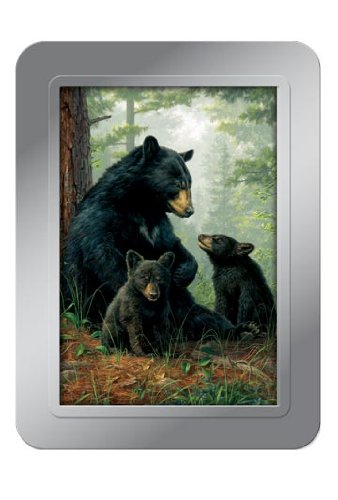 Tree-Free Greetings Bear Family Deluxe Playing Cards, Multicolored (71051)