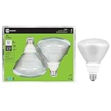 UPC 762148208518 product image for EcoSmart 75W Equivalent 2700K R40 CFL Light Bulb, Soft White (2-Pack) | upcitemdb.com