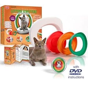 Toilet Training Your Cat