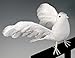 Factory Direct Craft Set of 2 Open Winged Artificial White Dove Birds | White Feather Doves are for Weddings, Christmas Decorations and DIY Crafts | Size: 11