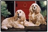 image link - - B001BZCQDC