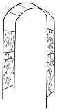 Gardman R357 Orleans Arch 4'x8'x2'