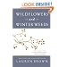 Wildflowers and Winter Weeds