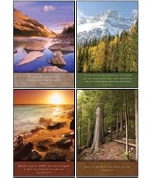 Scripture Greeting Cards-KJV-Boxed-Blank Notes - "Majesty"