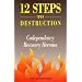 Twelve Steps to Destruction: Codependency/Recovery Heresies