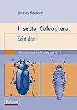 Image de Insecta: Coleoptera: Scirtidae: Süßwasserfauna von Mitteleuropa. Bd. 20/17