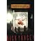 Best Books for Reluctant Reading Boys