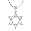 Sterling Silver CZ Star of David Necklace