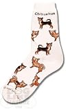 Chihuahua Poses Socks