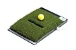 Dancin' Dogg Golf Shot Making Simulator