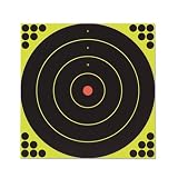 Birchwood Casey Shoot-N-C Bullseye Targets, 12, 5 Targets + 120 Pasters