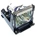 Projector Lamp For Sanyo/boxlt
