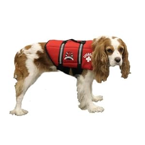Paws Aboard Small Neoprene Designer Doggy Life Jacket, Red Lifeguard Paws Aboard Small Neoprene Designer Doggy Life Jacket, Red Lifeguard