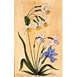 Asian Paintings Miniatures Drawings Wall Art Decor