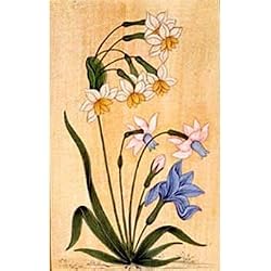 Asian Paintings Miniatures Drawings Wall Art Decor