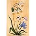 Asian Paintings Miniatures Drawings Wall Art Decor