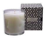 Voluspa Crisp Champagne 10oz Candle