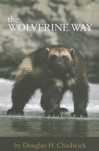 The Wolverine Way