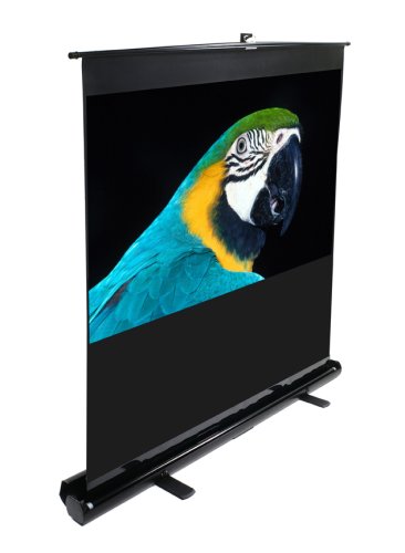 http://www.projectorlampcheap.com/projector-screen/elite-screens/elite-screens-ez-cinema-floor-pull-up-projection-screen-f100nwh.html