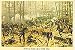 Battle Of Shiloh Postcard