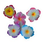 Bundle Monster Hawaiian Plumeria Flower Foam Hair Clip Accessory Set of 5 Jewelry 4inch