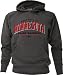Minnesota Twins Youth -Authentic Collection- Road Property Hooded Sweatshirt