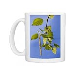 Birch Tree - leaves and catkins Photo Mugs