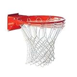 UPC 689344295770 product image for Spalding Pro Image Rim (Orange) | upcitemdb.com